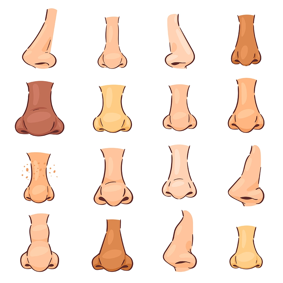 Individual planning for revision nose surgery.