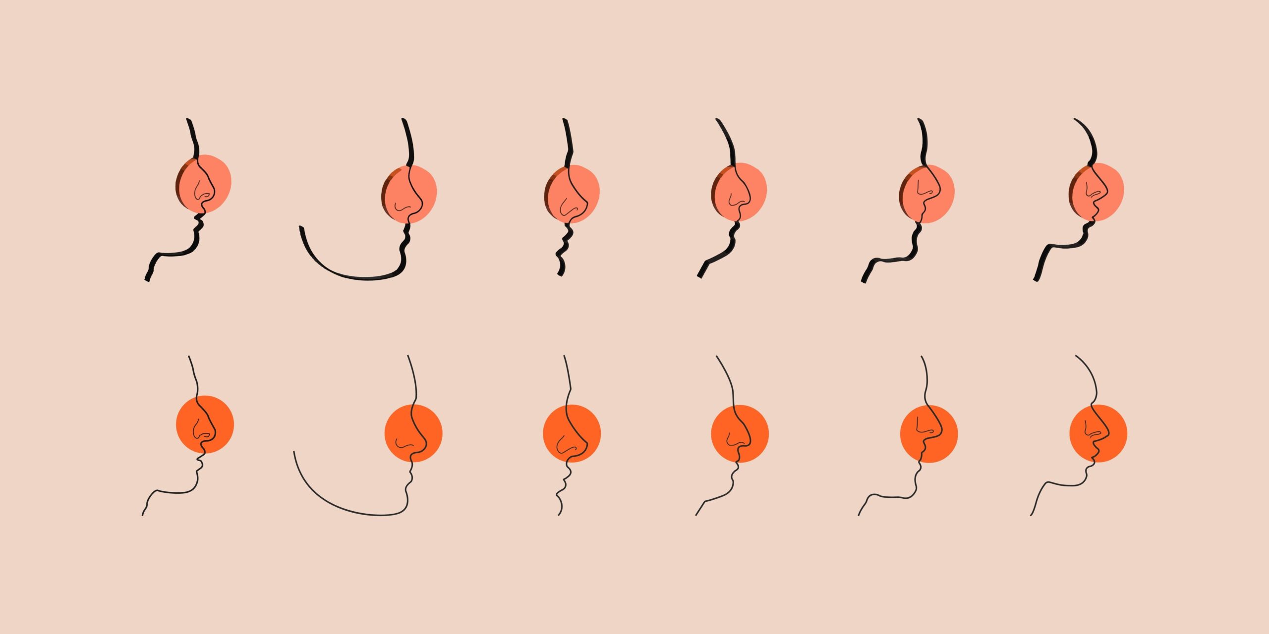 diferentes tipos de nariz
